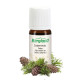 Eterično olje CEDRIN LES (Cedrus atlantica) Bergland 10ml
